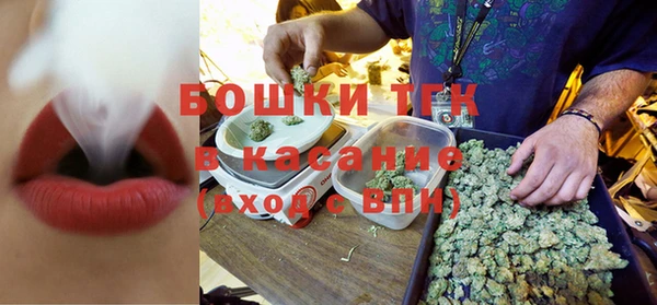 стафф Алексин