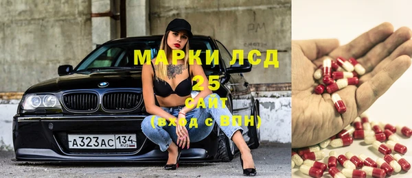 стафф Алексин