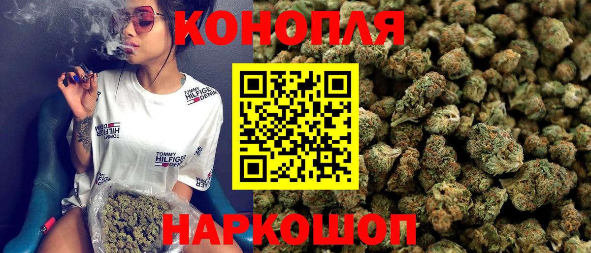 Каннабис планчик Ухта